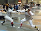 Fencing Picture