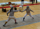 Fencing Picture