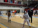 Fencing Picture