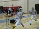 Fencing Picture